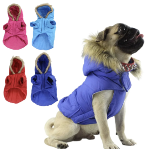 CHAQUETA ACOCHADA COLORES CON GORRO GRIS 83305