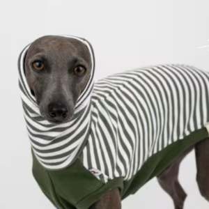 CHALECO LANA BUEN AMIGO VERDE Y GRIS 79341