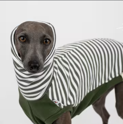 CHALECO LANA BUEN AMIGO VERDE Y GRIS 79341